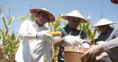 7,5 Ton Jagung di Sidoarjo Dihasilkan Dari Program Ketahanan Pangan Yang Diinisiasi Polri di Kuartal III 2025 Ini