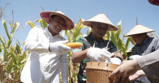 7,5 Ton Jagung di Sidoarjo Dihasilkan Dari Program Ketahanan Pangan Yang Diinisiasi Polri di Kuartal III 2025 Ini