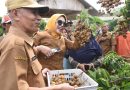 Wabup Sidoarjo Apresiasi Keberadaan Wisata Petik Buah Klengkeng