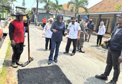 Wabup Sidoarjo Sidak Pemeliharaan Jalan Suko–Sumberejo