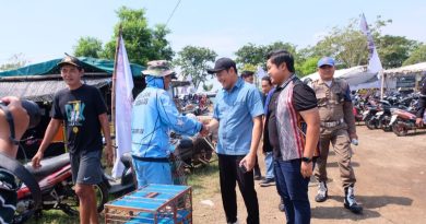 Geliat Ekonomi Lewat Balap Merpati, Sidoarjo Bakal Gelar Even Berskala Nasional