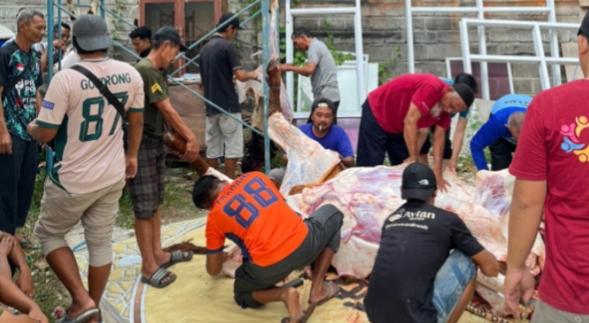 Momen Istimewa , Gema Kurban di RSUD dr karneni Campurdarat