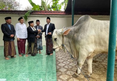 Idul Adha di Sidoarjo, Bupati Subandi serahkan 1 ekorSapi 800 Kg kepada masjid agung dan Sapi Presiden Disalurkan ke Jabon Idul Adha di Sidoarjo, Bupati Subandi serahkan 1 ekorSapi 800 Kg kepada masjid agung dan Sapi Presiden Disalurkan ke Jabon