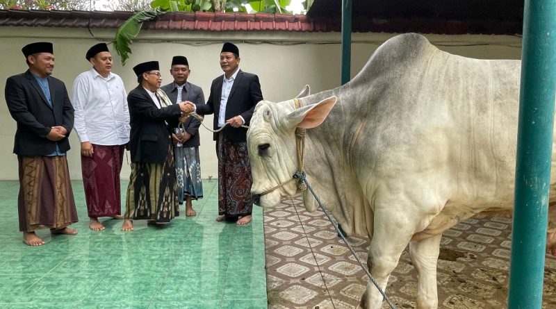 Idul Adha di Sidoarjo, Bupati Subandi serahkan 1 ekorSapi 800 Kg kepada masjid agung dan Sapi Presiden Disalurkan ke Jabon Idul Adha di Sidoarjo, Bupati Subandi serahkan 1 ekorSapi 800 Kg kepada masjid agung dan Sapi Presiden Disalurkan ke Jabon