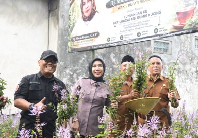 Wabup Sidoarjo Apresiasi UMKM Herbal Teh Daun Kumis Kucing