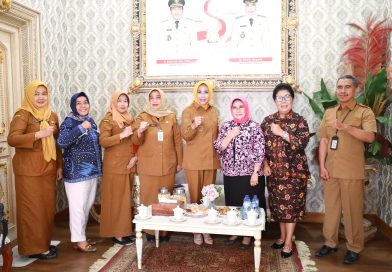 Terima Audiensi Wakil Walikota Banjarmasin, Wabup Mimik Bahas Optimalisasi Potensi Daerah dan Penguatan UMKM