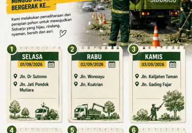 Masyarakat Diminta Segera Melapor Ketika Melihat Pohon Berisiko Tumbang Masyarakat Diminta Segera Melapor Ketika Melihat Pohon Berisiko Tumbang