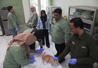 Peringati World Rabies Day, Dinas Pangan dan Pertanian Sidoarjo Gelar Vaksinasi Rabies Gratis Peringati World Rabies Day, Dinas Pangan dan Pertanian Sidoarjo Gelar Vaksinasi Rabies Gratis