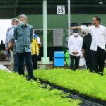 Presiden akan paksa pihak swasta siapkan pusat nursery di daerah pertambangan