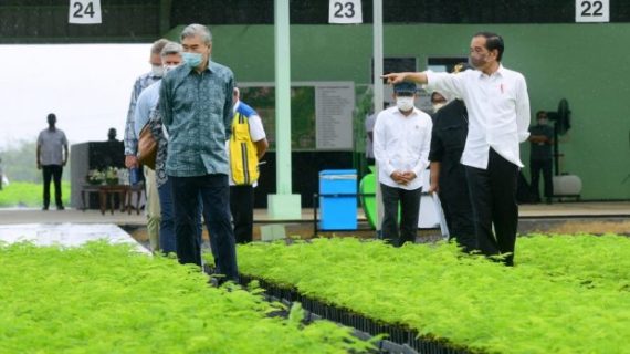 Presiden akan paksa pihak swasta siapkan pusat nursery di daerah pertambangan