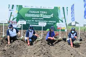 PTPN XIV bersinergi dengan Petrokimia Gresik sosialisasikan program makmur BUMN