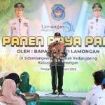 Sektor pertanian Lamongan tumbuh positif pada 2021 dilihat dari NTP