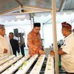 “urban farming”, Bupati Muhdlor ajak warga perkotaan manfaatkan lahan