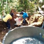 Pemkab Kediri dorong program korporasi sapi untuk diolah jadi pupuk dan biogas