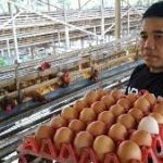 Pelantikan pejabat, Bupati Kediri ingatkan pejabat harus punya sense of crisis