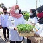 Ribuan anak muda Banyuwangi daftar program Jagoan Tani