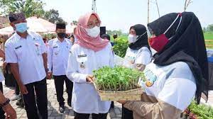 Ribuan anak muda Banyuwangi daftar program Jagoan Tani