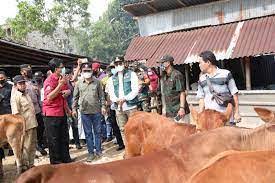 Bupati Abdul Latif minta satgas peternakan perketat pengawasan sapi ternak