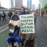 Pemerintah akan kaji Legalitas Ganja untuk kebutuhan medis