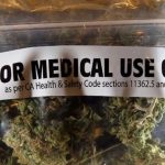Secara Resmi, MUI Belum terima Permintaan Soal Fatwa Ganja untuk Medis