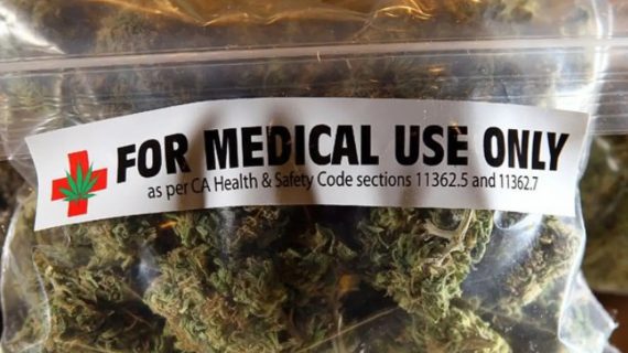 Secara Resmi, MUI Belum terima Permintaan Soal Fatwa Ganja untuk Medis