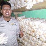 Kader IPNU Probolinggo Tekuni Budidaya Jamur