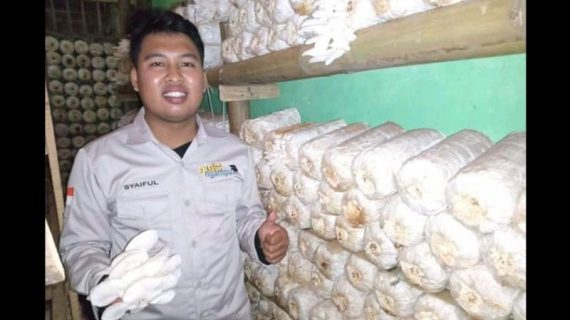 Kader IPNU Probolinggo Tekuni Budidaya Jamur