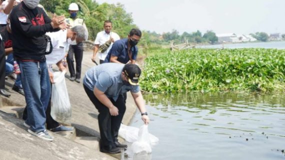 50 ribu benih ikan di sebar Mas Dhito demi jaga ekosistem