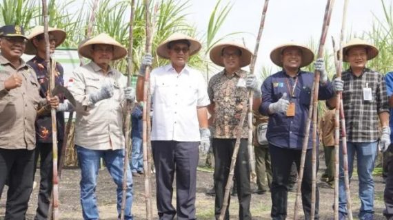 Wujudkan swasembada gula nasional, Perhutani manfaatkan hutan