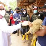 Semangat Anak Muda Beternak Domba Diapresiasi Pemkab Banyuwangi