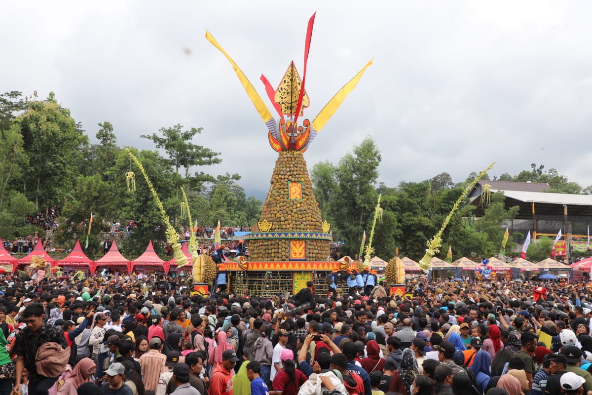 KenDuren Wonosalam 2025: Surga Durian di Jombang Siap Manjakan Pengunjung Selama Lima Bulan